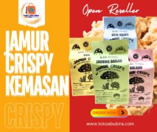 Jamur Crispy Varian Rasa
